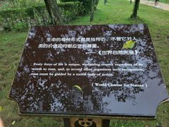 景点-成都大熊猫繁育研究基地