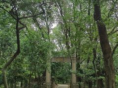 -上海佘山国家森林公园天马山园