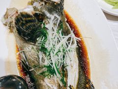清蒸石斑-香融府·烤鸭·家常菜(马家堡路店)
