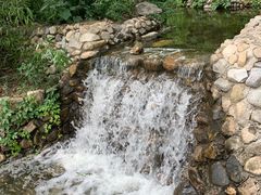 -静之湖湖畔餐厅