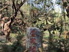 -北海金海湾红树林生态旅游区