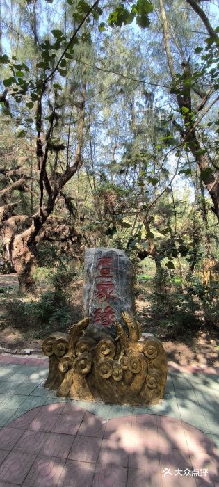 北海金海湾红树林生态旅游区图片