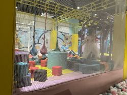-汤姆猫亲子乐园(保利Mall店)