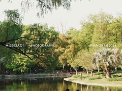 -上海共青森林公园