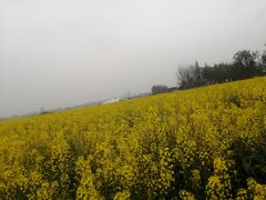 -中国天府农业博览园