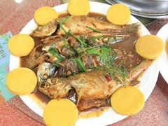 -小叶大馅饺子城