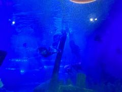 -江和美海洋公园