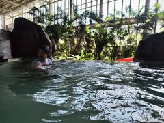 -中家鑫园温泉酒店鑫悦汤泉