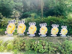 -终南山南五台景区