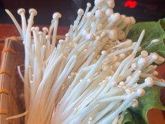 -老员外骨汤火锅(海州古城店)