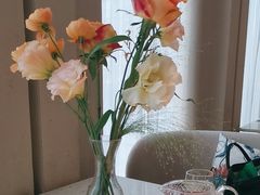 -Tomacado花厨(One ITC店)
