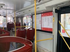 -BUS TOUR观光巴士