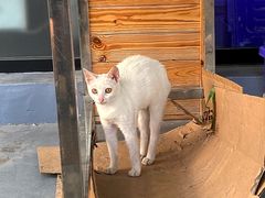 -阿欢牛肉店·火锅·粿条面