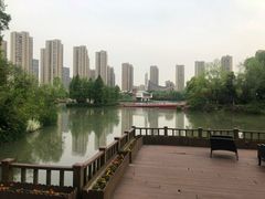 -都喜天丽富都青枫苑酒店-青枫小筑