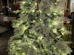 -一棵树·意大利西餐厅One Tree(新城店)