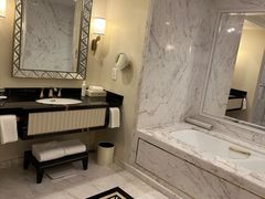 -澳门威尼斯人综合度假区