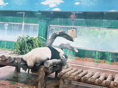 -广州动物园