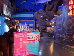 -烟台海昌鲸鲨海洋公园