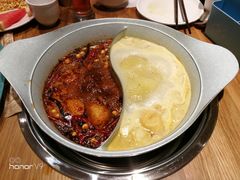 -青瓷火锅料理(西单大悦城店)