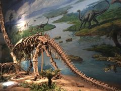 -自贡恐龙博物馆