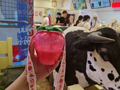 -红星前进面包牛奶公司(君太店)