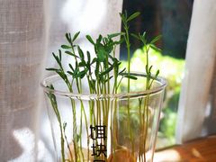 -饵块食光·云南有机手作饵块