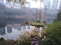 -重庆彩云湖湿地公园