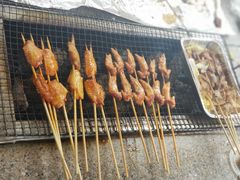 -吴淞炮台湾湿地森林公园烧烤区