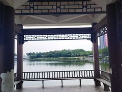 -飞来湖湿地公园