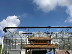 -上海都市菜园
