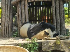 -大连森林动物园