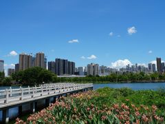 -武汉动物园