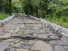 -阳台山自然风景区