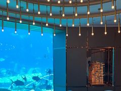 -亚特兰蒂斯•OSSIANO奥西亚诺海底餐厅