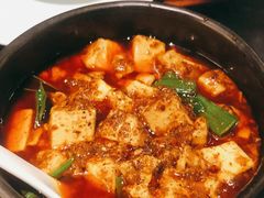 -陈麻婆豆腐总店