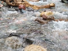 -西岭雪山大飞水景区