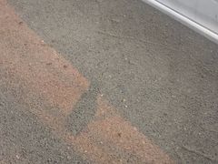 -鱼之家小四川水煮鱼