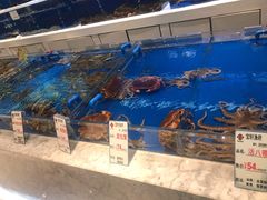 -宝轩渔府·老字号海鲜·正宗津菜(水上店)