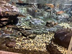 -上海海洋水族馆