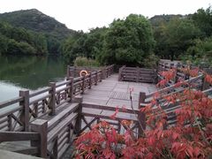 -白马涧龙池景区