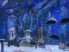 -海合安天津极地海洋公园