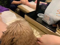-新富特功夫足疗(华都园大厦店)