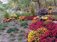 -上海共青森林公园