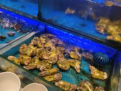 -SEA西雅图海鲜自助餐厅(海乐世界店)