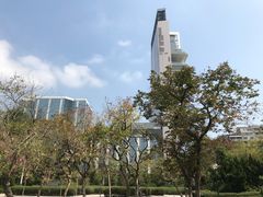 -九龙公园