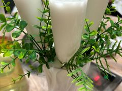 -探窝·竹笙椰子鸡(杨箕店)