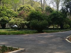 -河南省黄河迎宾馆