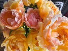 -双季花艺园艺市场(浦东店)