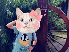 -乌村