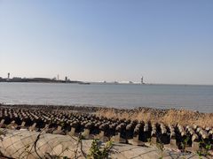 -上海滨江森林公园